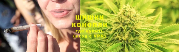 прущие грибы Мегион