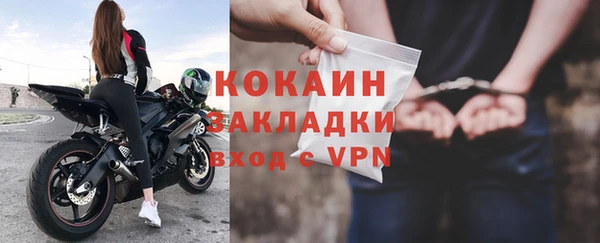 прущие грибы Мегион