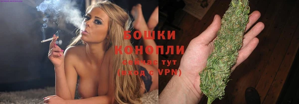 ешки Медногорск