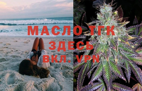 ешки Медногорск