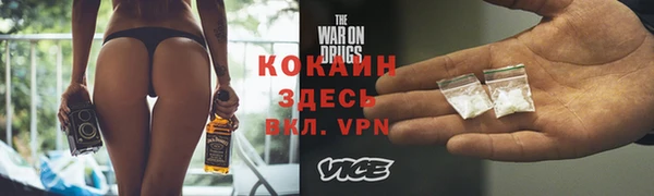 сатива Болотное