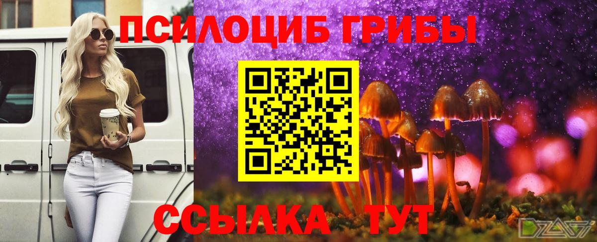Псилоцибиновые грибы MAGIC MUSHROOMS Карталы